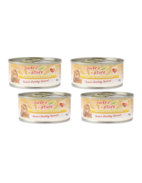 CZTEROPAK Power of Nature - kurczak z dynią 4x70g