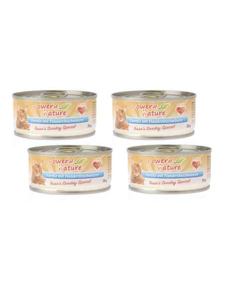 CZTEROPAK Power of Nature -pstrąg z ogonkami 4x70g