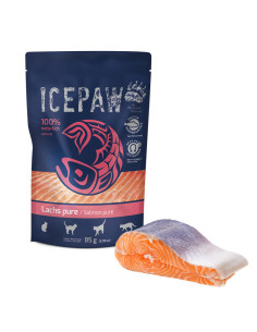 ICEPAW PURE - Filet Pure Łosoś dla kotów 85g