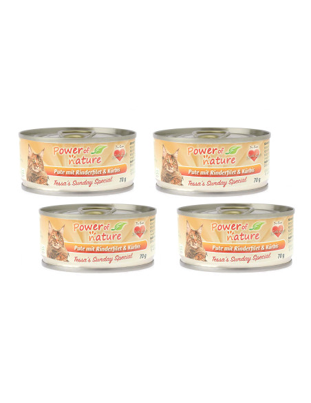 CZTEROPAK Power of Nature - indyk z wołowiną 4x70g