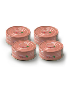 CZTEROPAK Terra Felis - Kurczak 4x80g