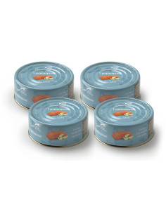 CZTEROPAK Terra Felis Famousse - Łosoś 4x80g