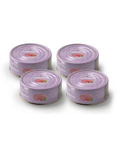 CZTEROPAK Terra Felis Famousse - Indyk 4x80g