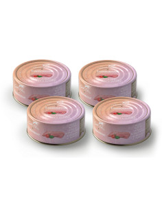 CZTEROPAK Terra Felis Famousse - Kurczak z Indykiem 4x80g