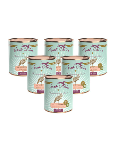 Terra Canis - Indyk z selerem, dynią i rukwią 6x800g
