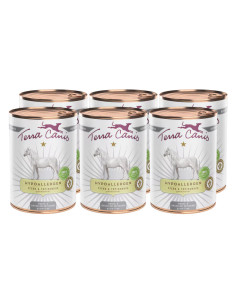 Terra Canis Hypoallergenic - Konina topinam 6x400g