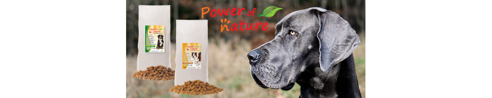 Power Of Nature